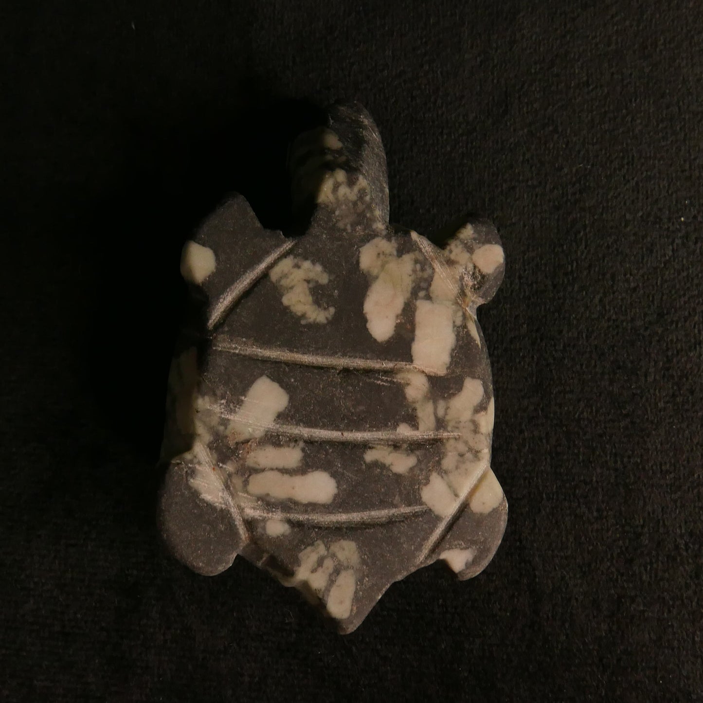 Chrysanthemum Stone Turtle | Snow Heart Crystals