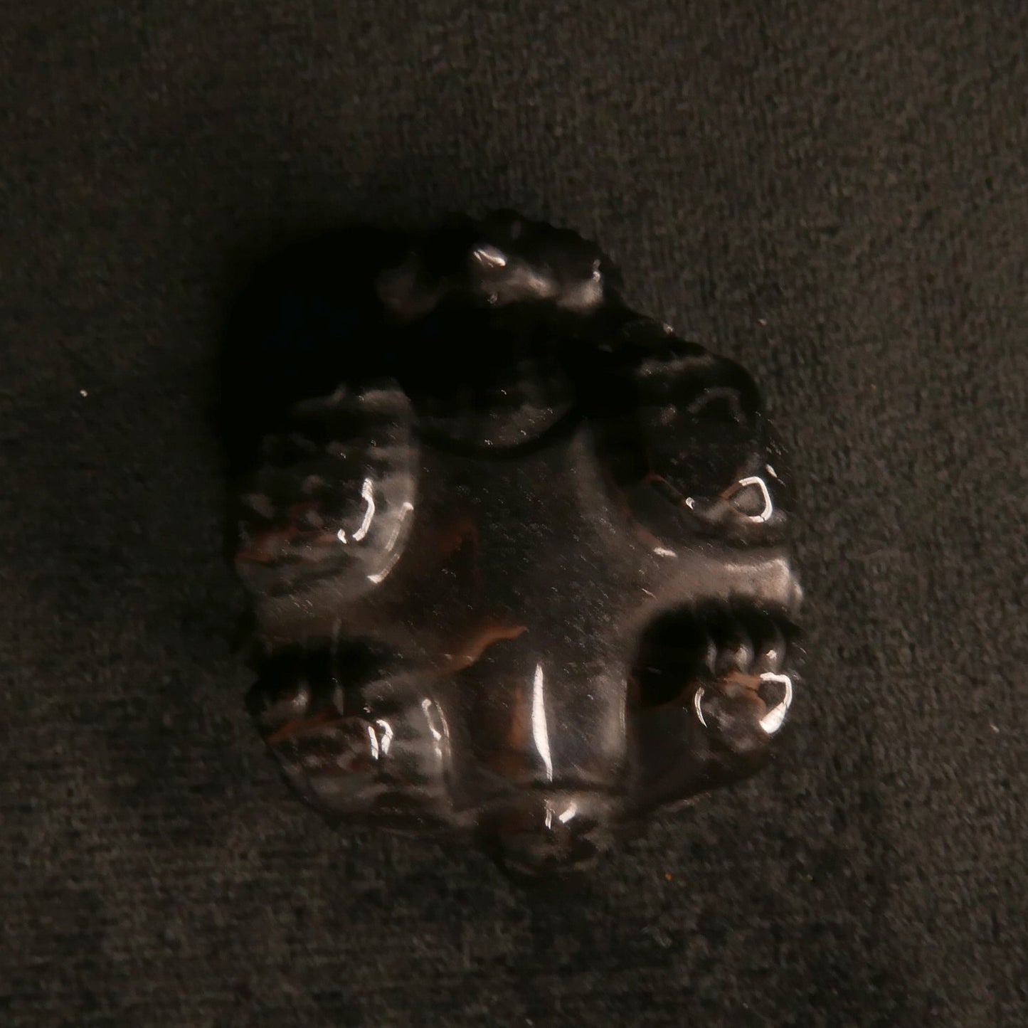 Black Obsidian Dragon Turtle with Coins on Back | Snow Heart Crystals - Online Crystal Shop Canada