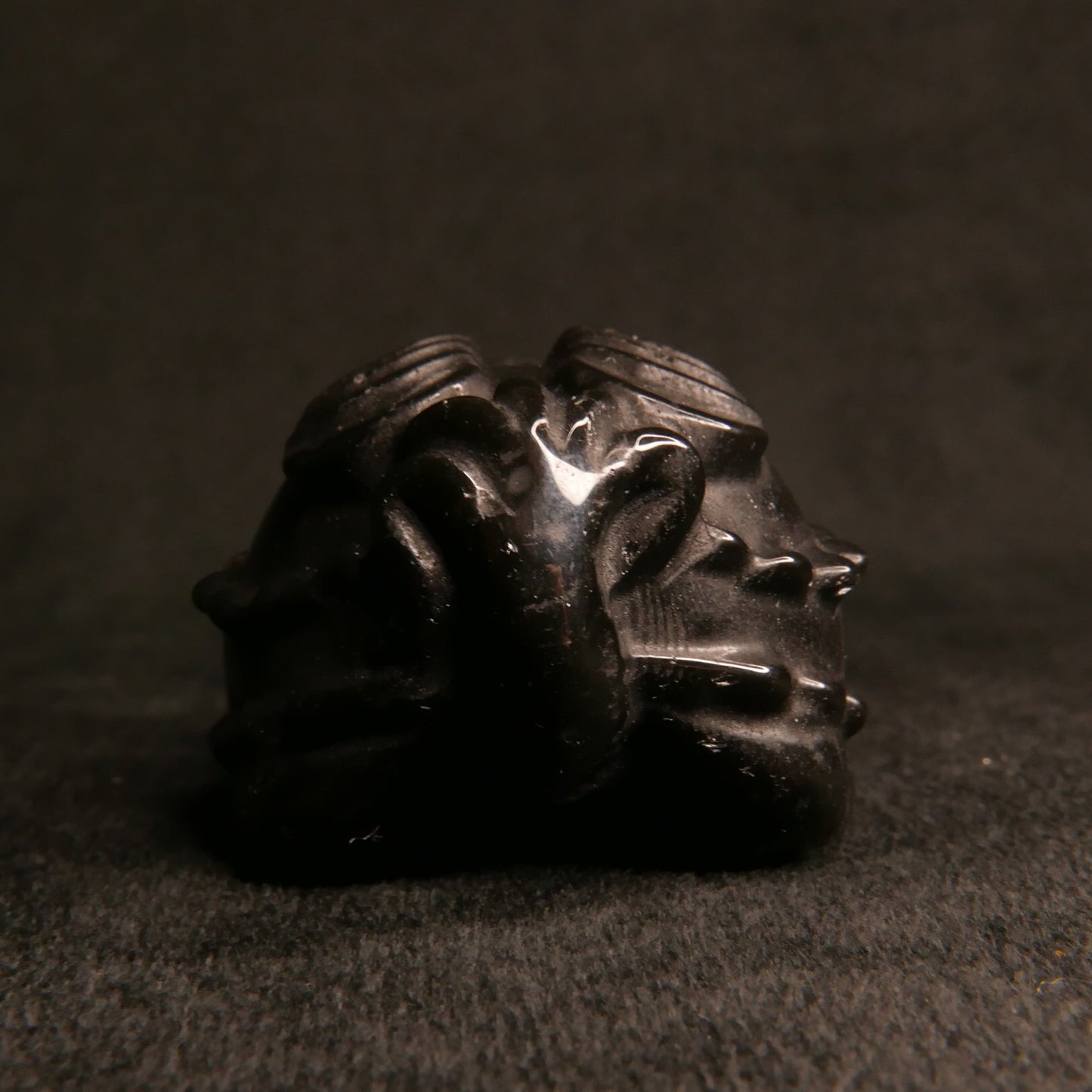 Black Obsidian Dragon Turtle with Coins on Back | Snow Heart Crystals - Online Crystal Shop Canada