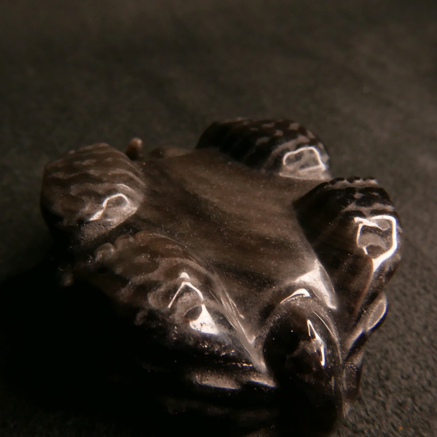 Silver Obsidian Dragon Turtle with Coins on Back | Snow Heart Crystals - Online Crystal Shop Canada