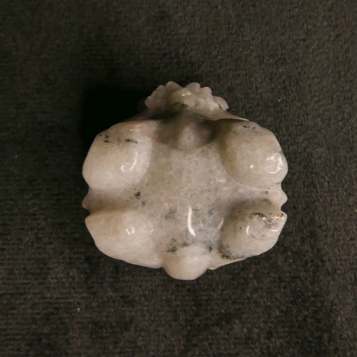 Labradorite Dragon Turtle with Coins on Back | Snow Heart Crystals - Online Crystal Shop Canada