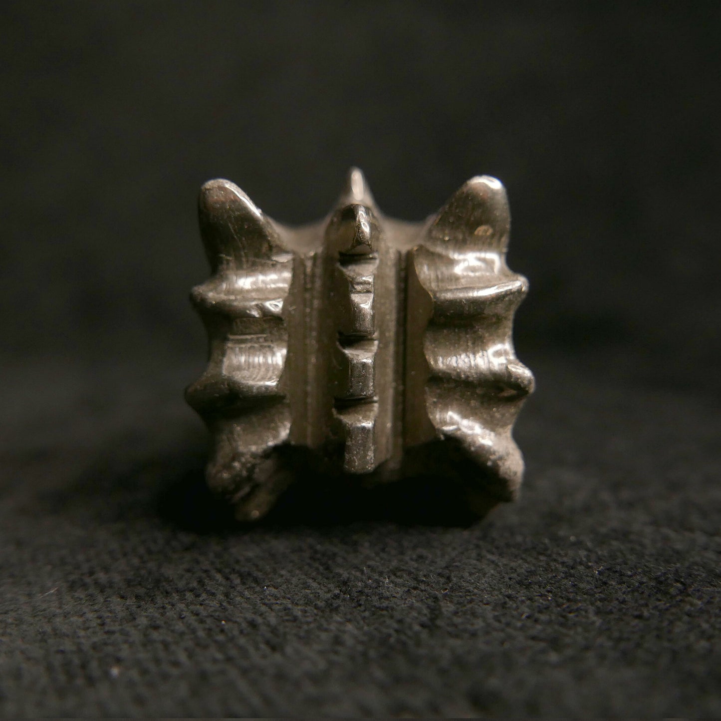 Pyrite Dragon Head | Snow Heart Crystals