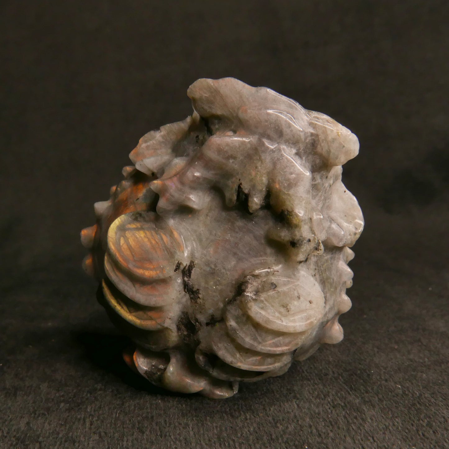 Labradorite Dragon Turtle with Coins on Back | Snow Heart Crystals - Online Crystal Shop Canada