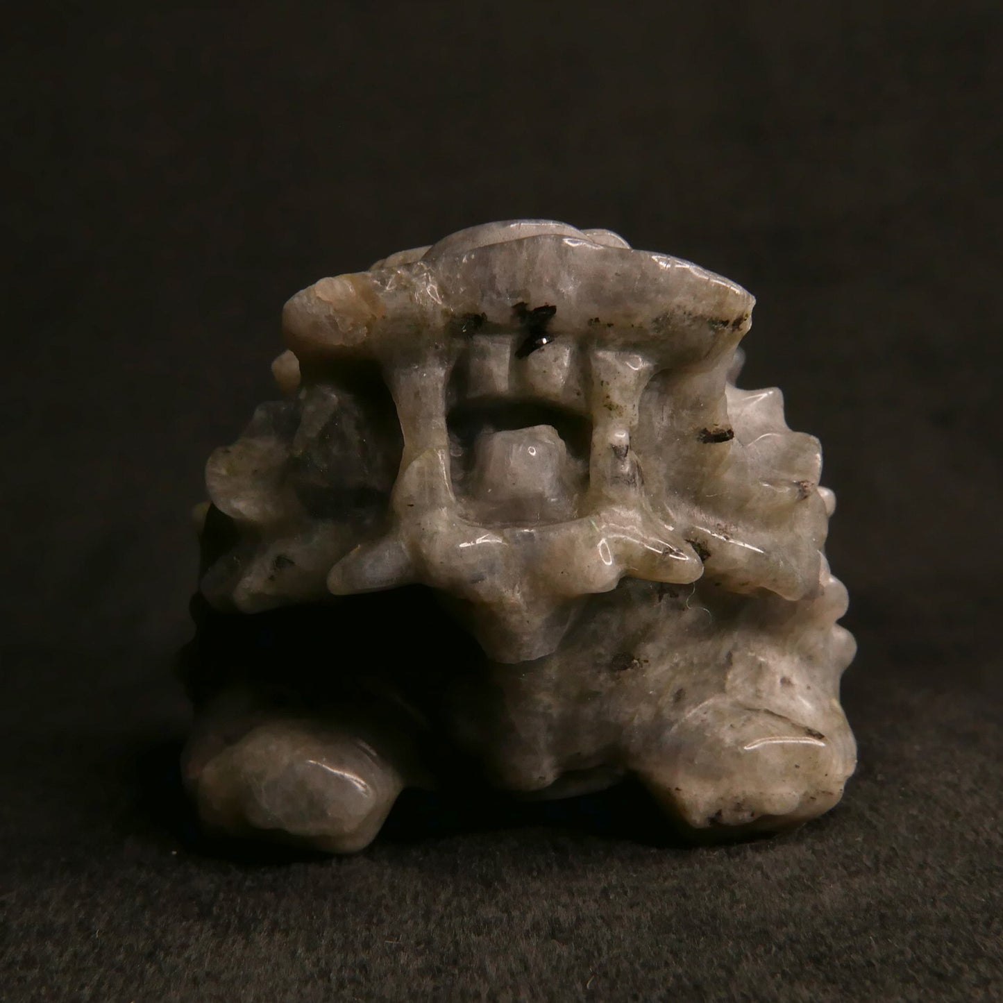 Labradorite Dragon Turtle with Coins on Back | Snow Heart Crystals - Online Crystal Shop Canada