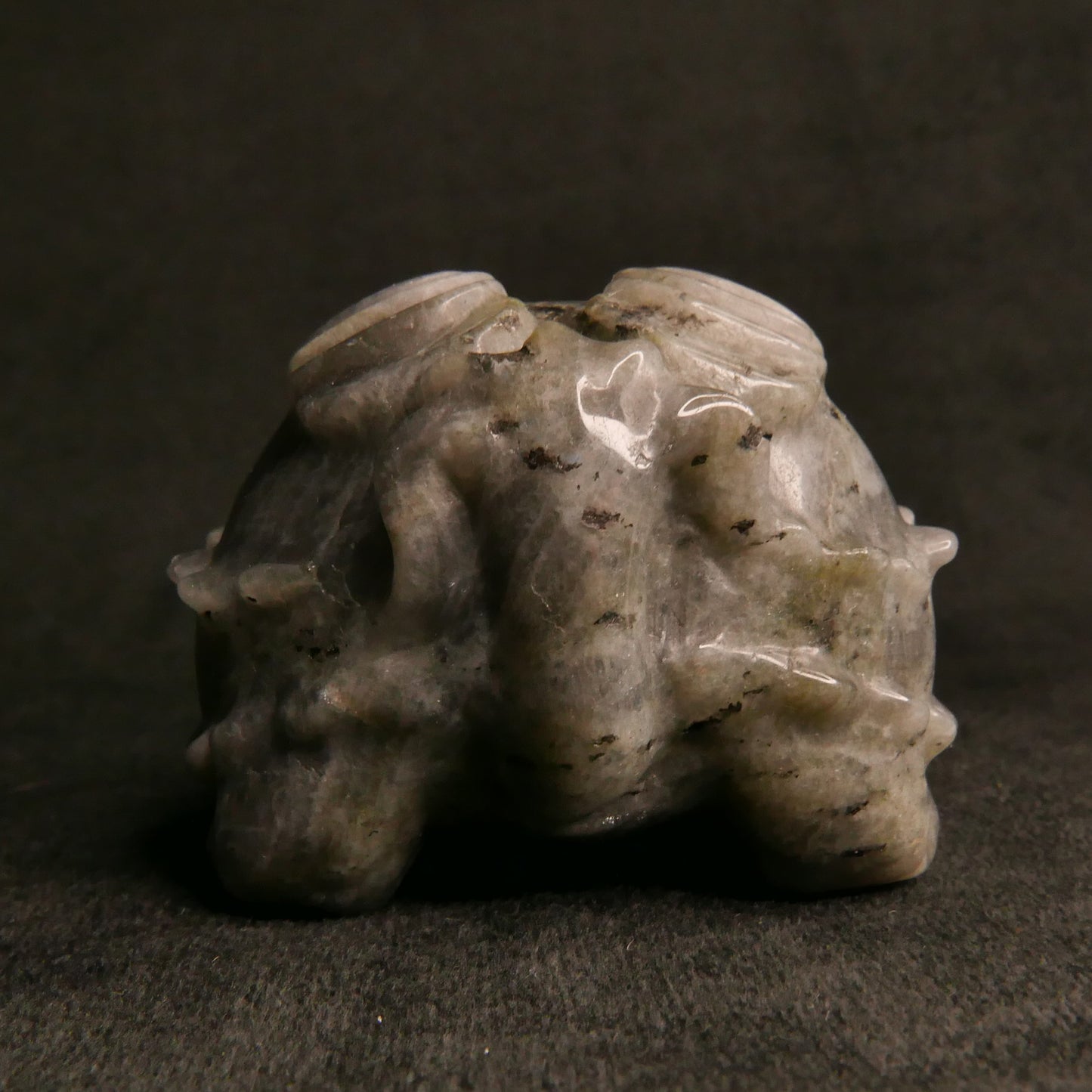 Labradorite Dragon Turtle with Coins on Back | Snow Heart Crystals - Online Crystal Shop Canada
