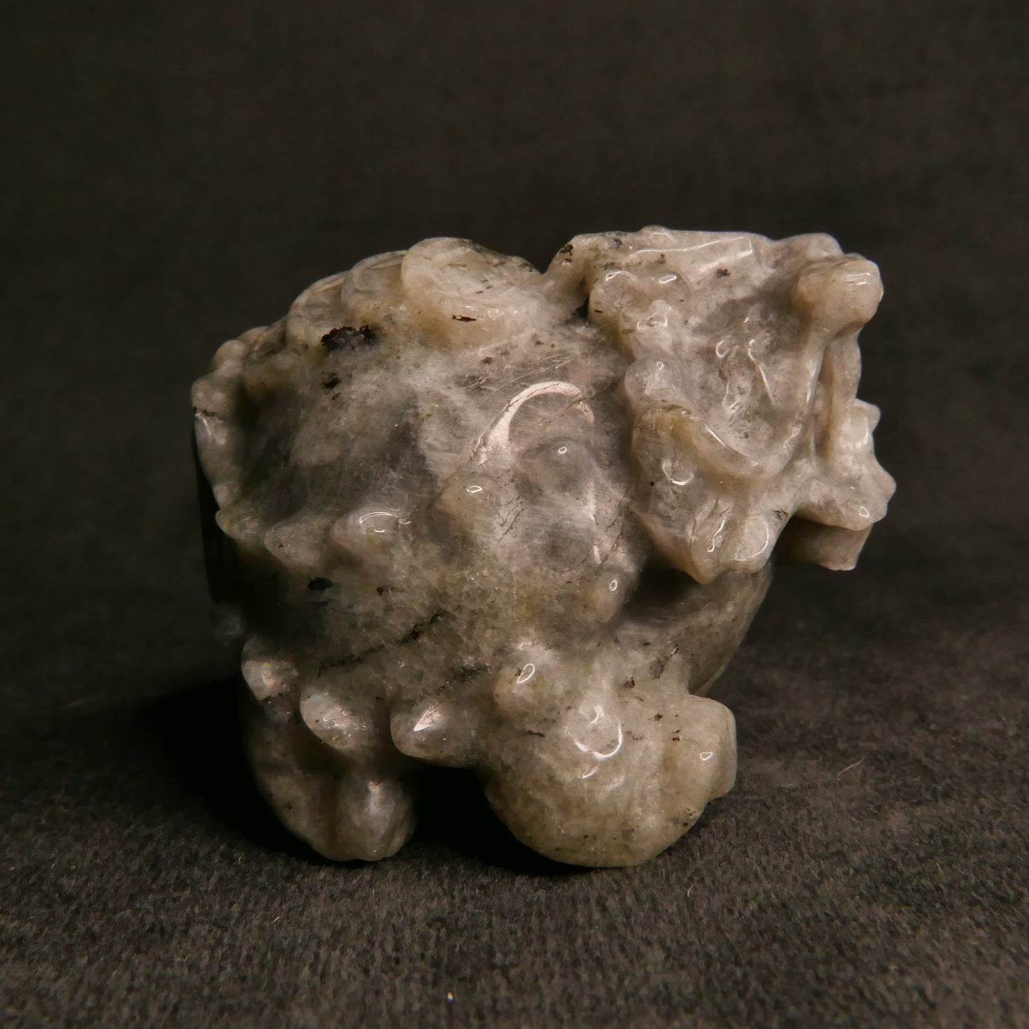 Labradorite Dragon Turtle with Coins on Back | Snow Heart Crystals - Online Crystal Shop Canada