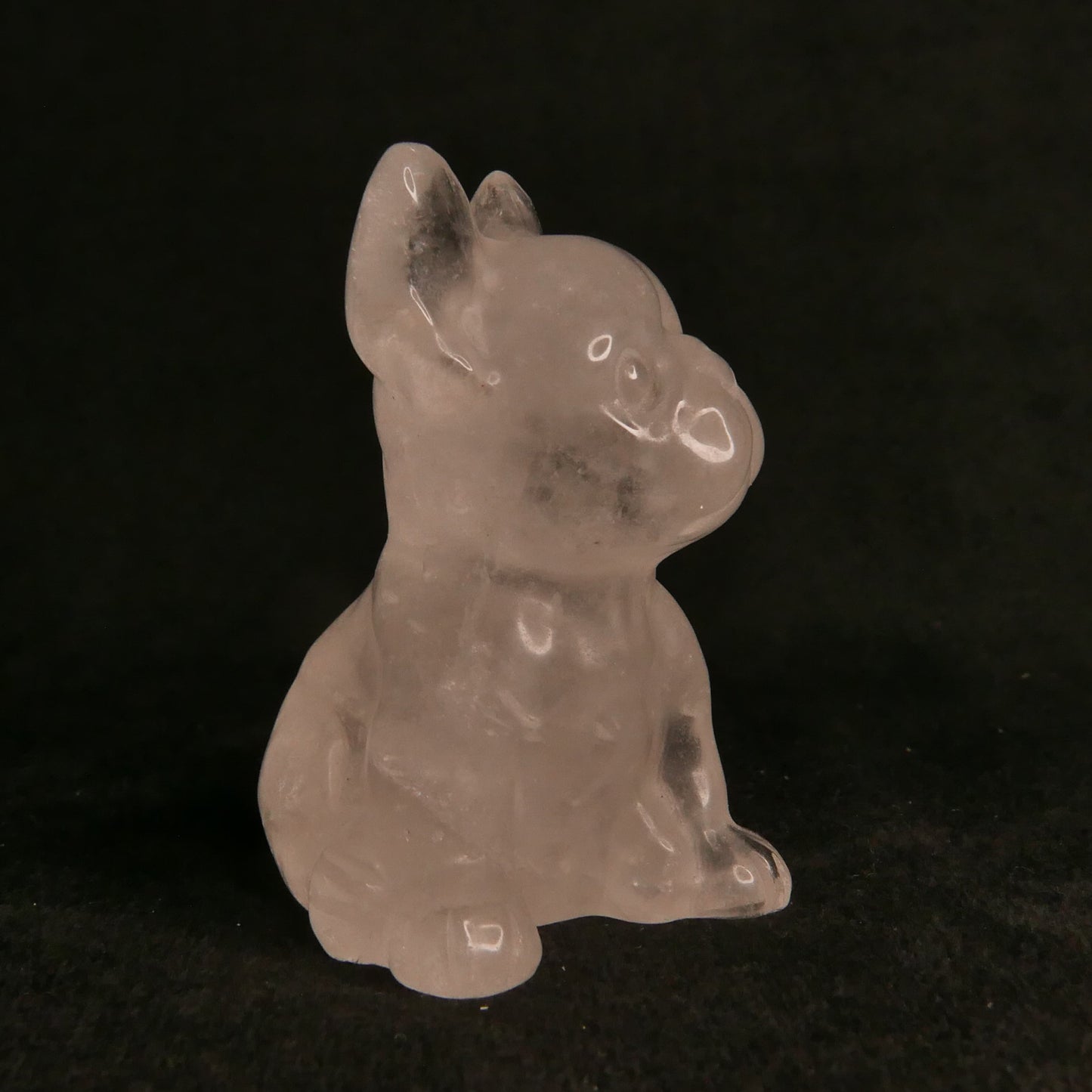 Clear Quartz Frenchie | Snow Heart Crystals - Online Crystal Shop Canada