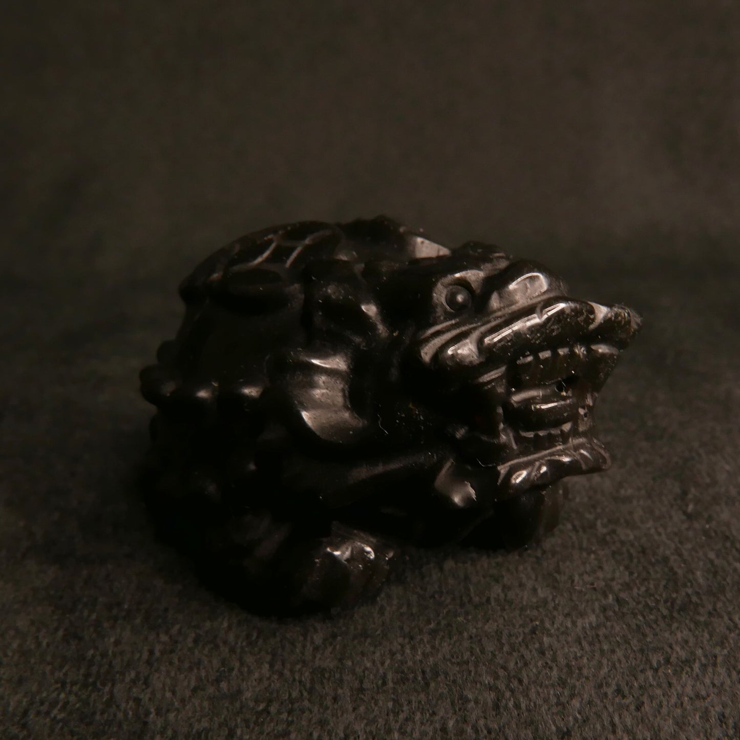 Black Obsidian Dragon Turtle with Coins on Back | Snow Heart Crystals - Online Crystal Shop Canada 