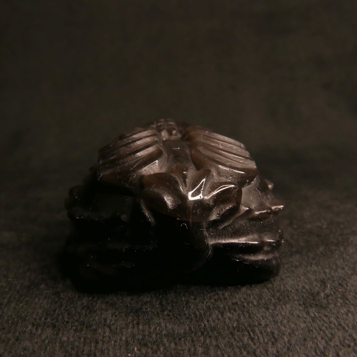 Silver Obsidian Dragon Turtle with Coins on Back | Snow Heart Crystals - Online Crystal Shop Canada 