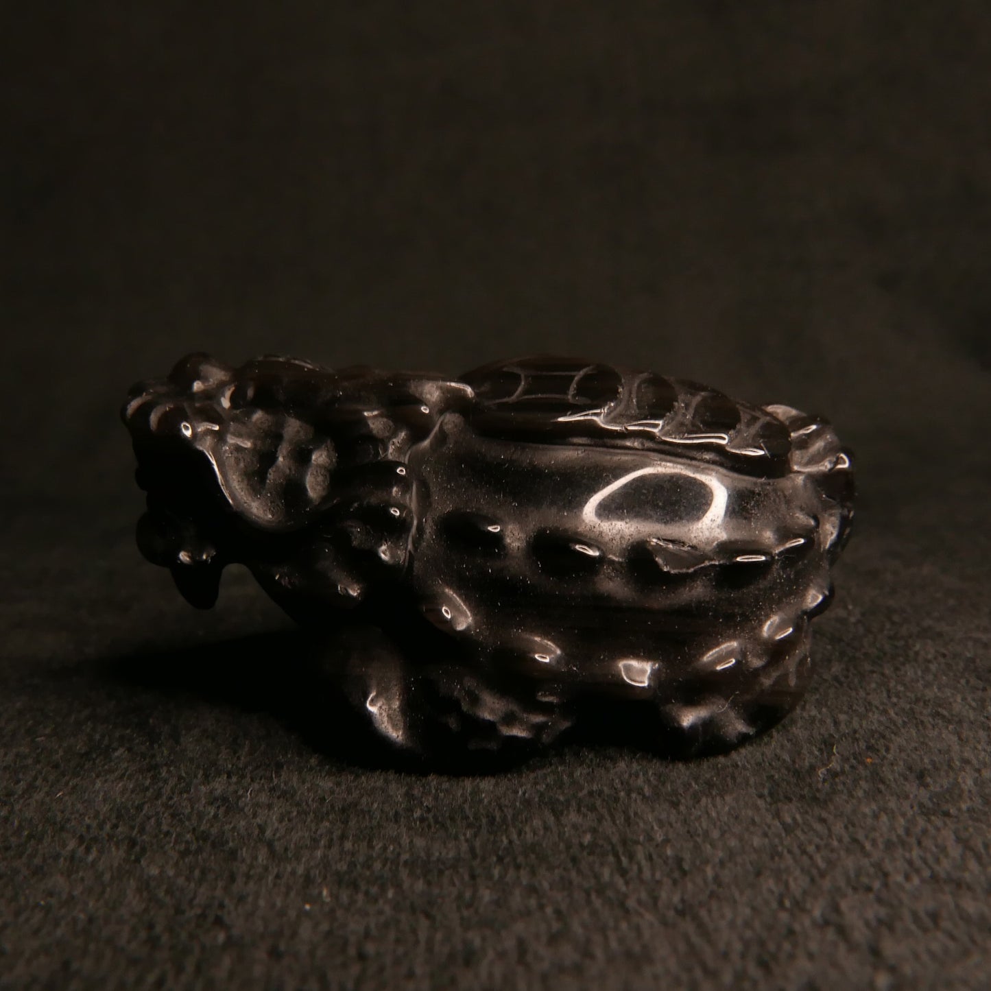 Silver Obsidian Dragon Turtle with Coins on Back | Snow Heart Crystals - Online Crystal Shop Canada 