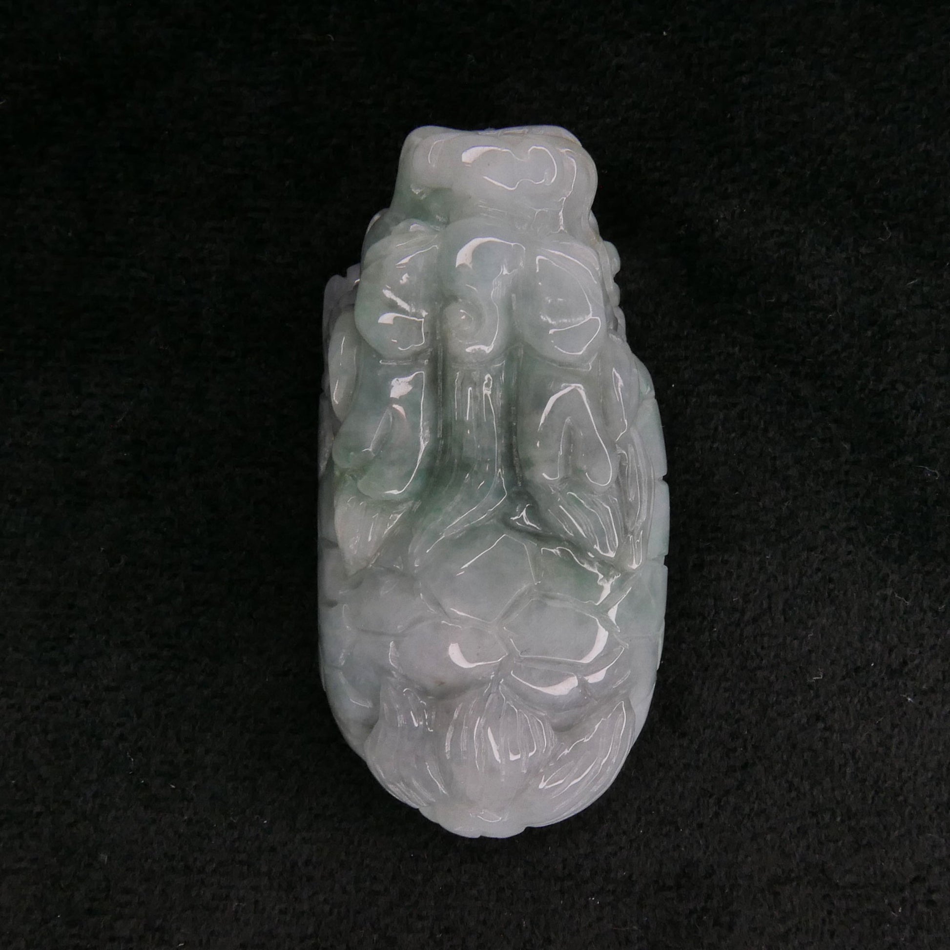 Green Jade Dragon Turtle | Snow Heart Crystals - Online Crystal Shop Canada 