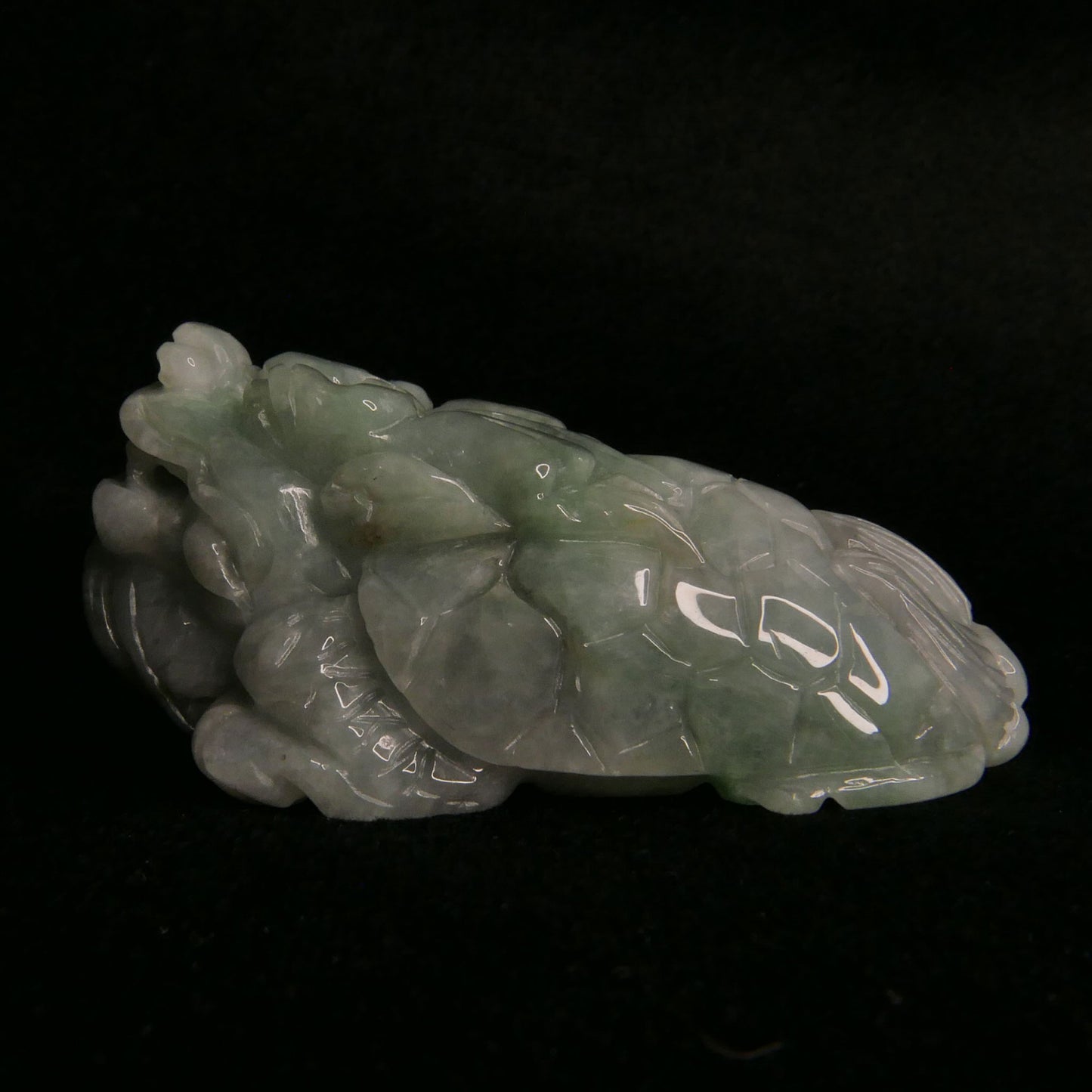 Green Jade Dragon Turtle | Snow Heart Crystals - Online Crystal Shop Canada 