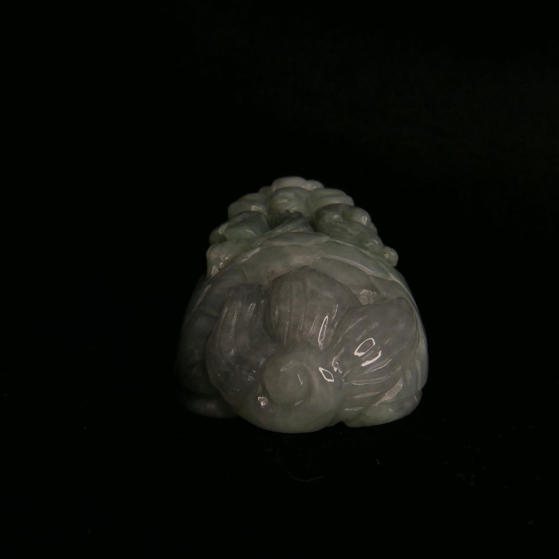 Green Jade Dragon Turtle | Snow Heart Crystals - Online Crystal Shop Canada 