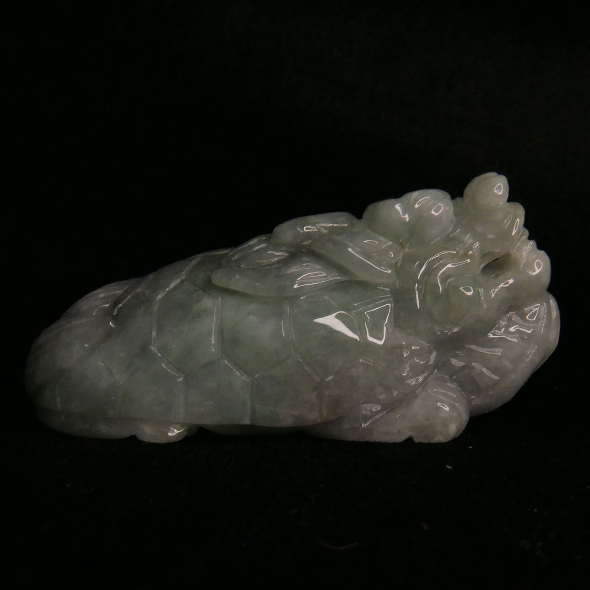 Green Jade Dragon Turtle | Snow Heart Crystals - Online Crystal Shop Canada 