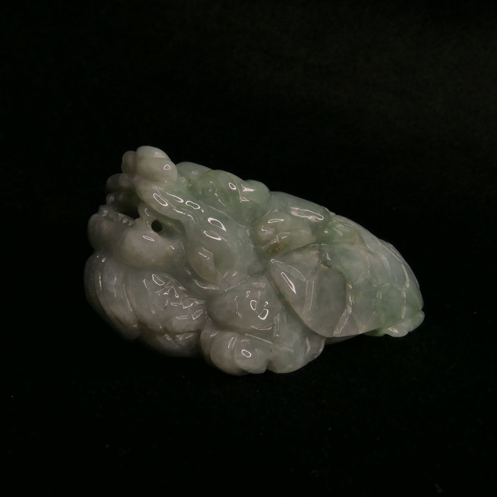 Green Jade Dragon Turtle | Snow Heart Crystals - Online Crystal Shop Canada 