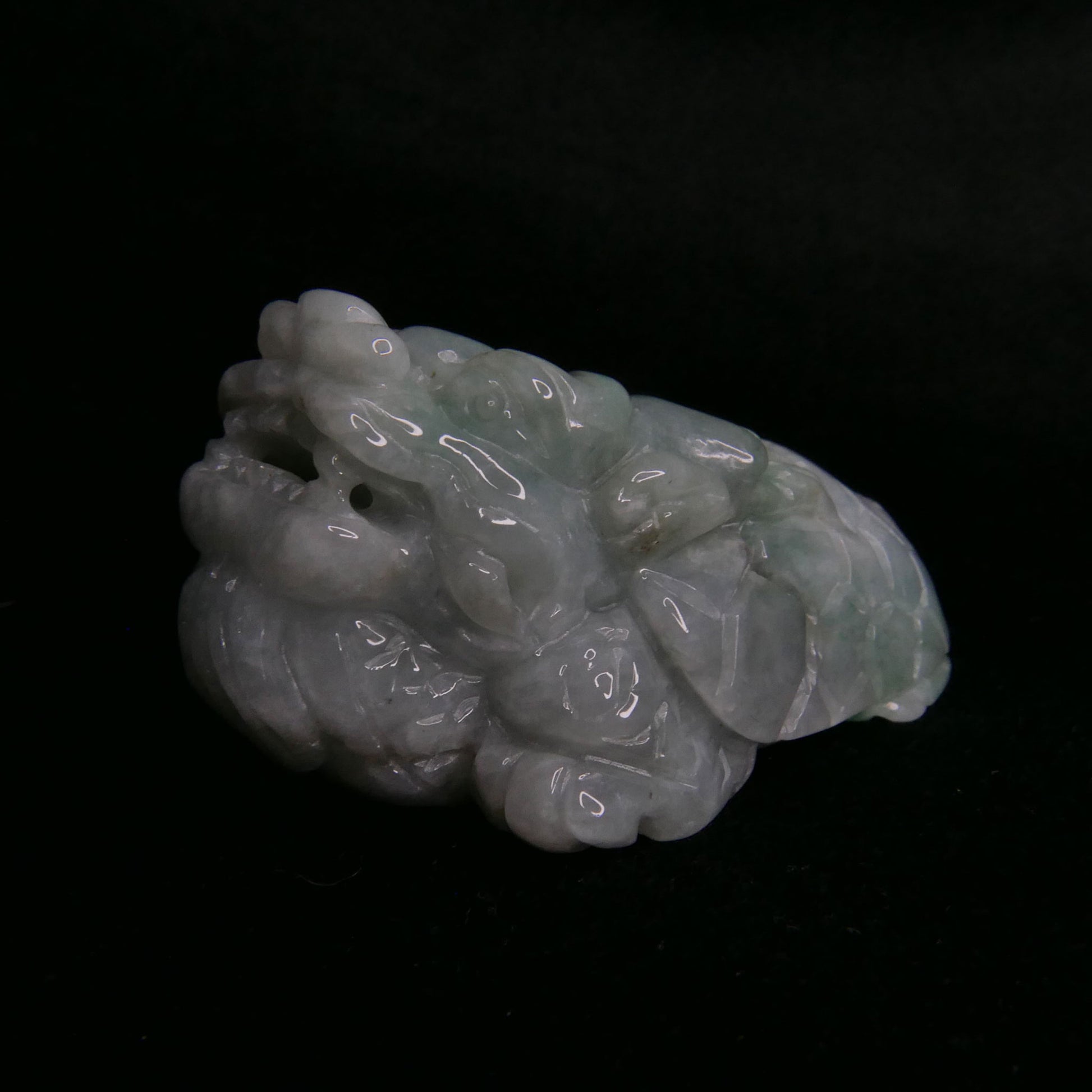 Green Jade Dragon Turtle | Snow Heart Crystals - Online Crystal Shop Canada 