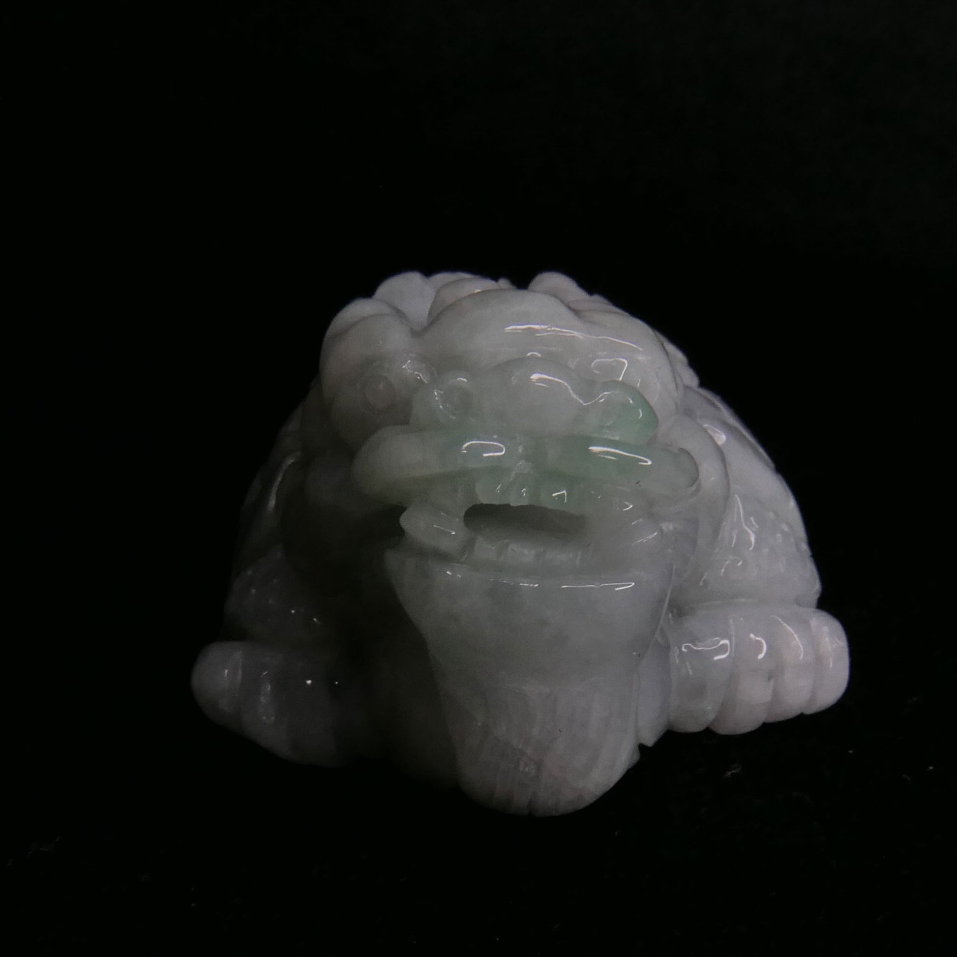 Green Jade Dragon Turtle | Snow Heart Crystals - Online Crystal Shop Canada 