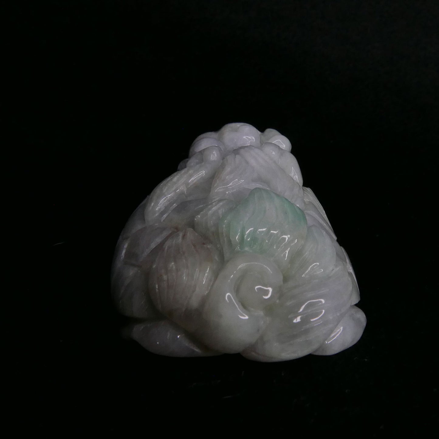 Green Jade Dragon Turtle | Snow Heart Crystals - Online Crystal Shop Canada 