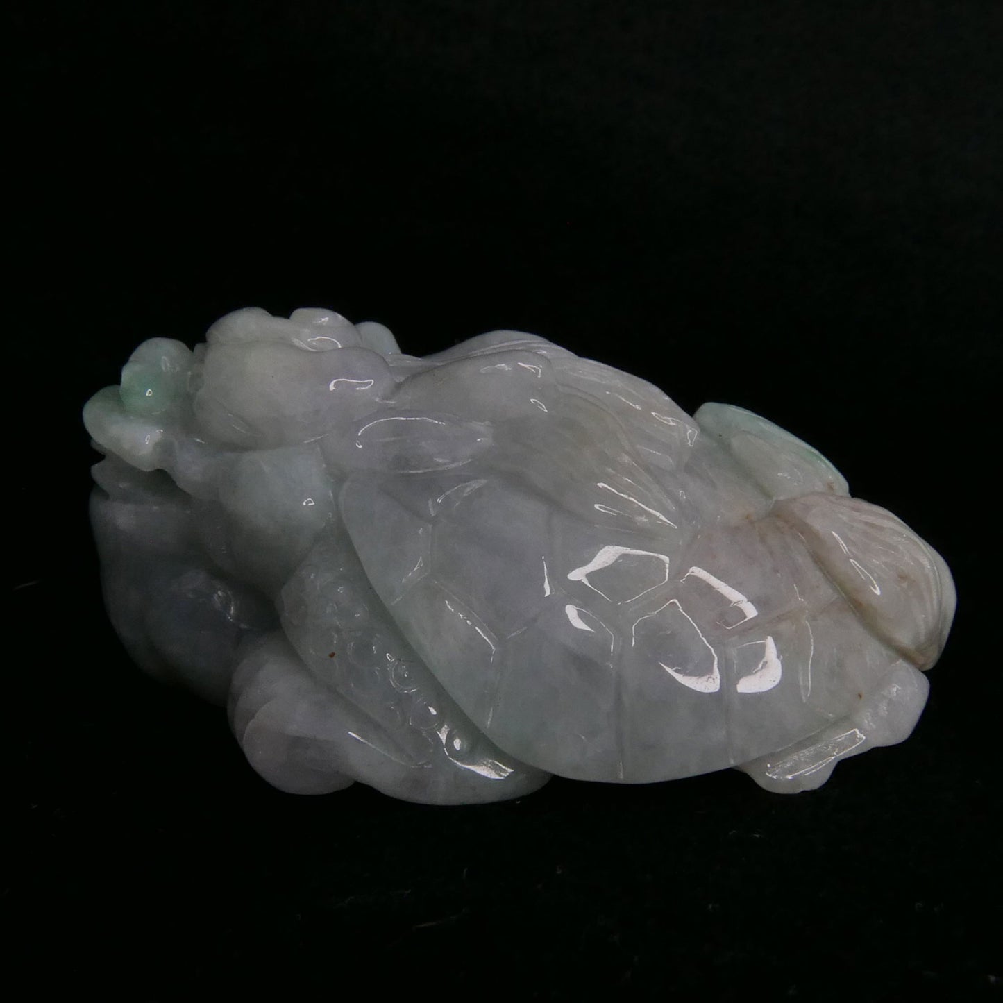 Green Jade Dragon Turtle | Snow Heart Crystals - Online Crystal Shop Canada 