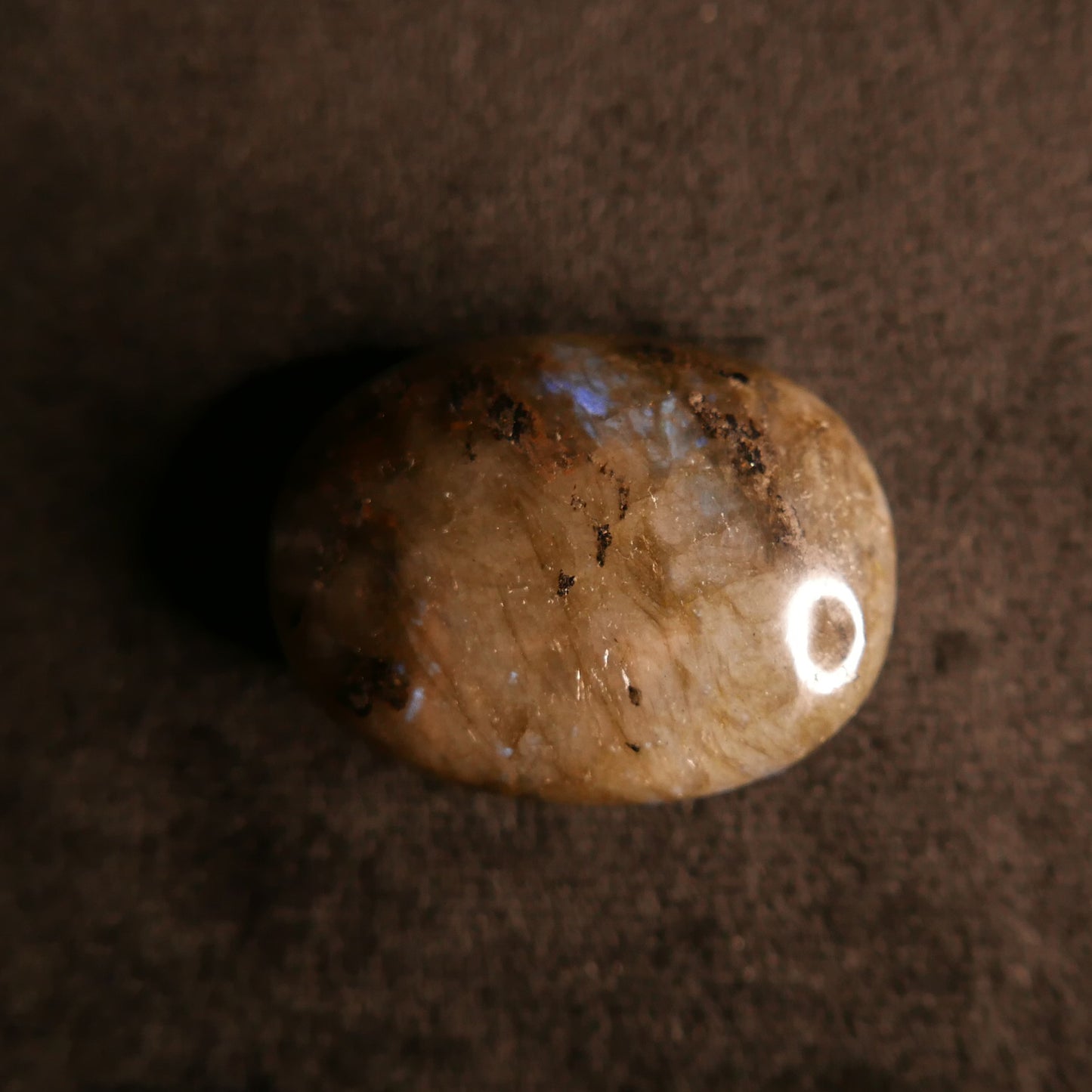 Labradorite Palm Stone | Snow Heart Crystals 
