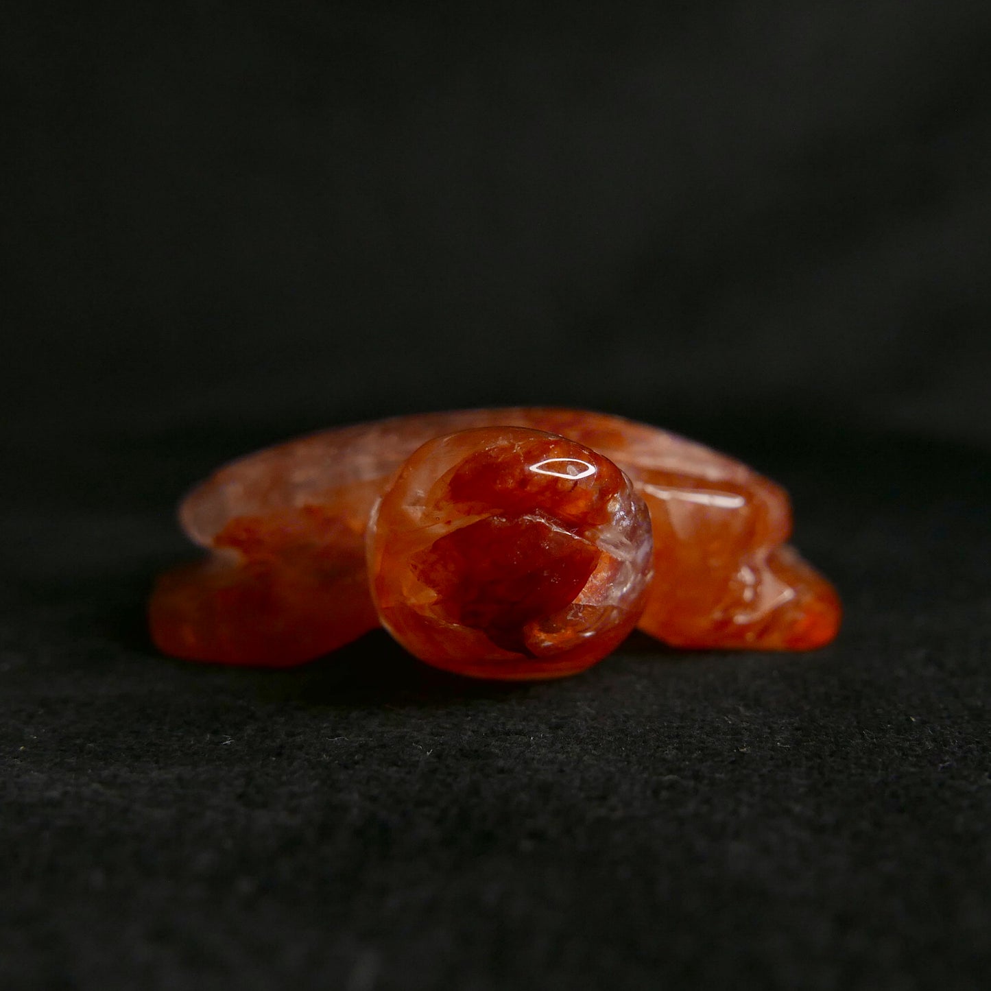 Fire Quartz Turtle | Snow Heart Crystals