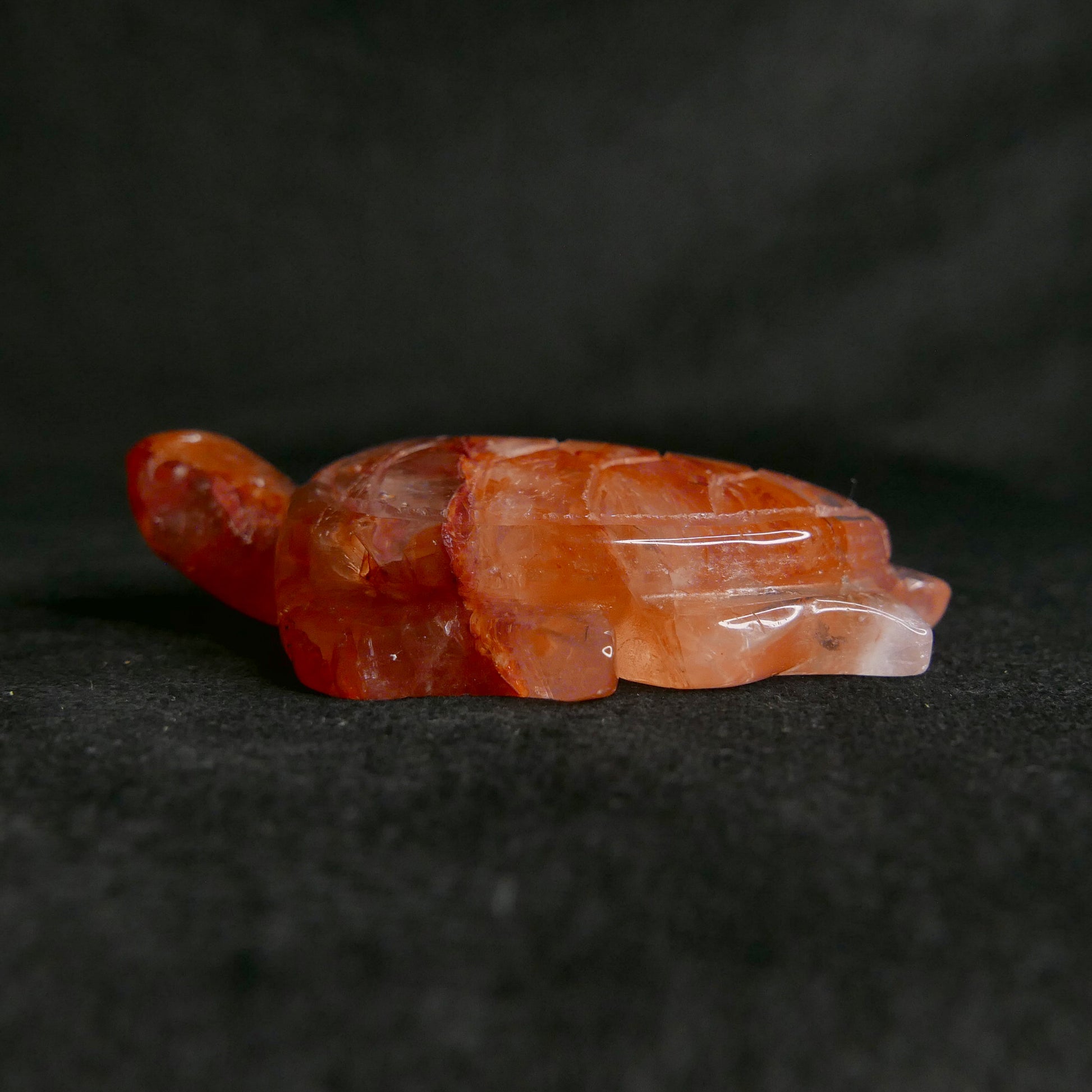 Fire Quartz Turtle | Snow Heart Crystals