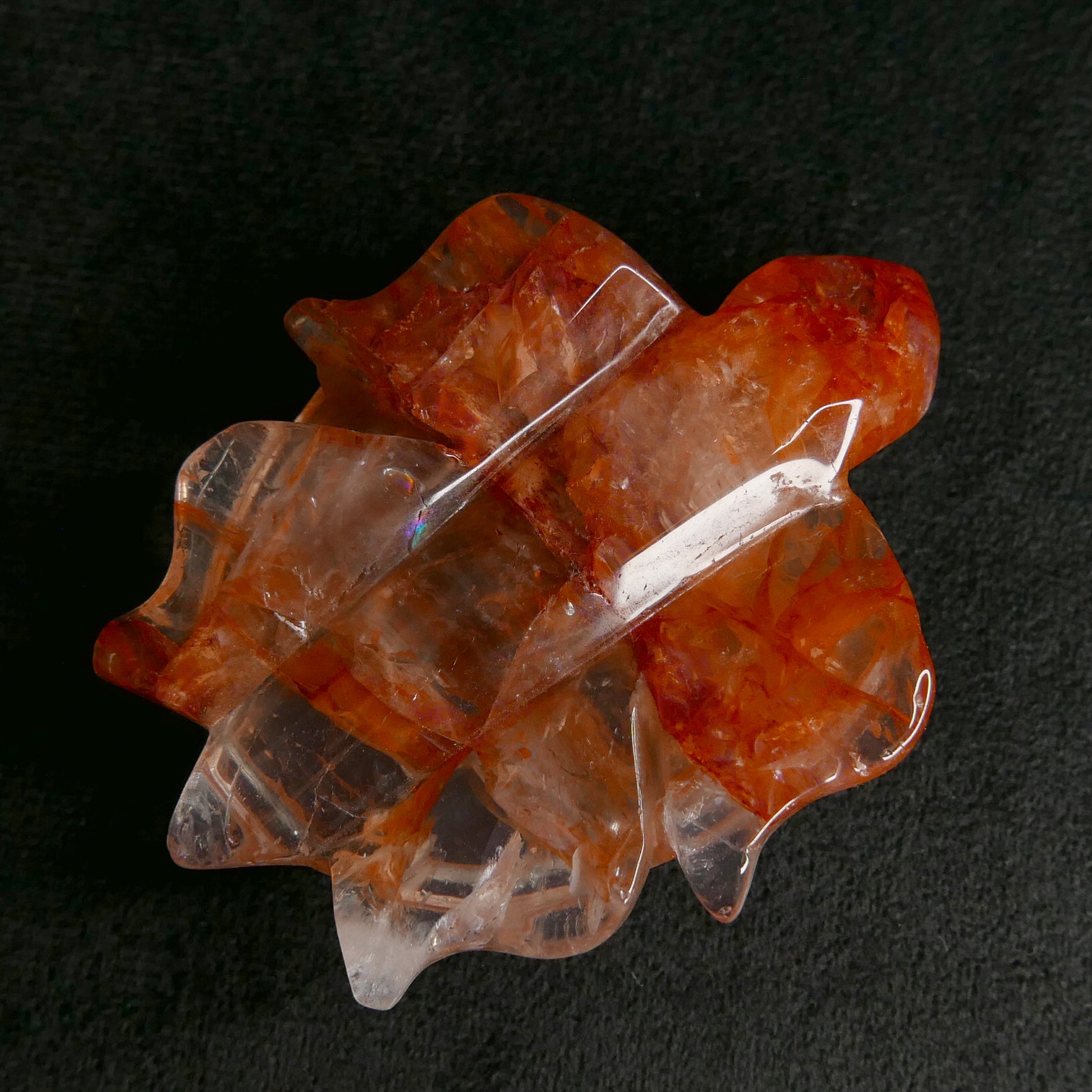 Fire Quartz Turtle | Snow Heart Crystals