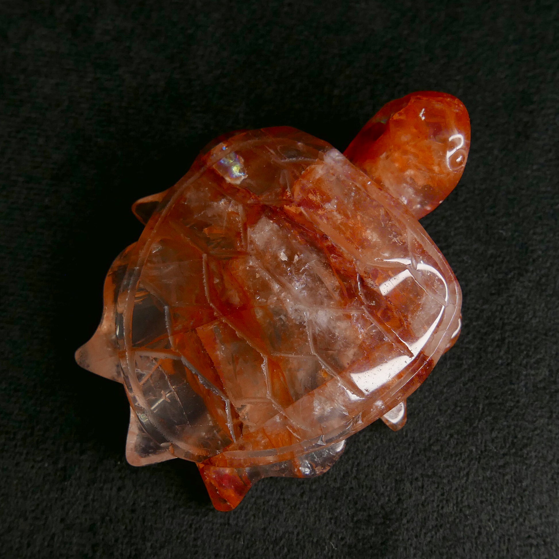 Fire Quartz Turtle | Snow Heart Crystals