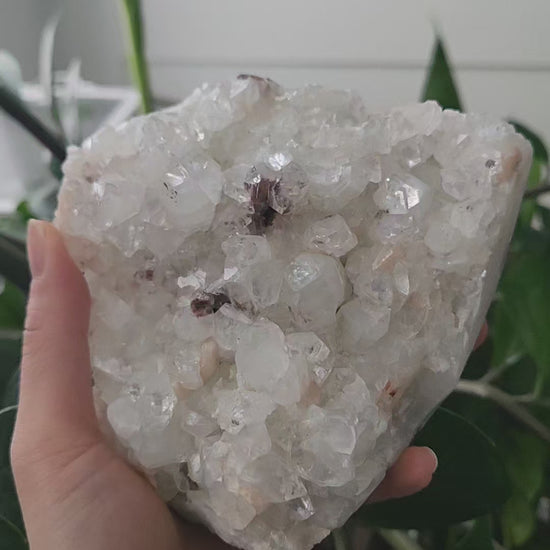 Apophyllite Cluster | Snow Heart Crystals 