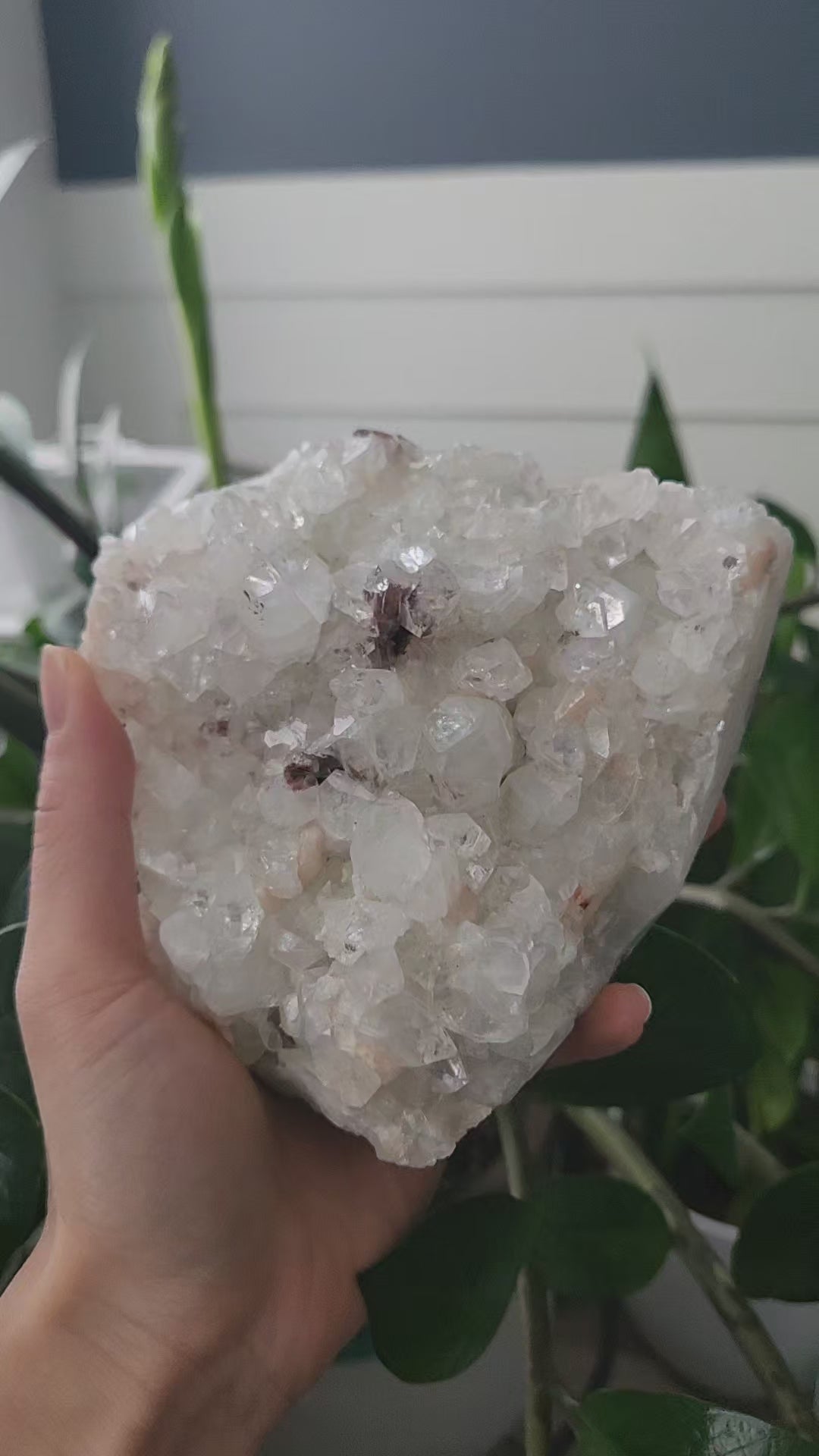 Apophyllite Cluster | Snow Heart Crystals 