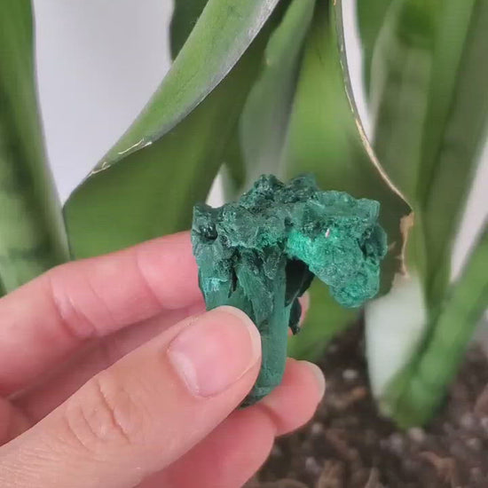 Raw Velvety Malachite Specimen