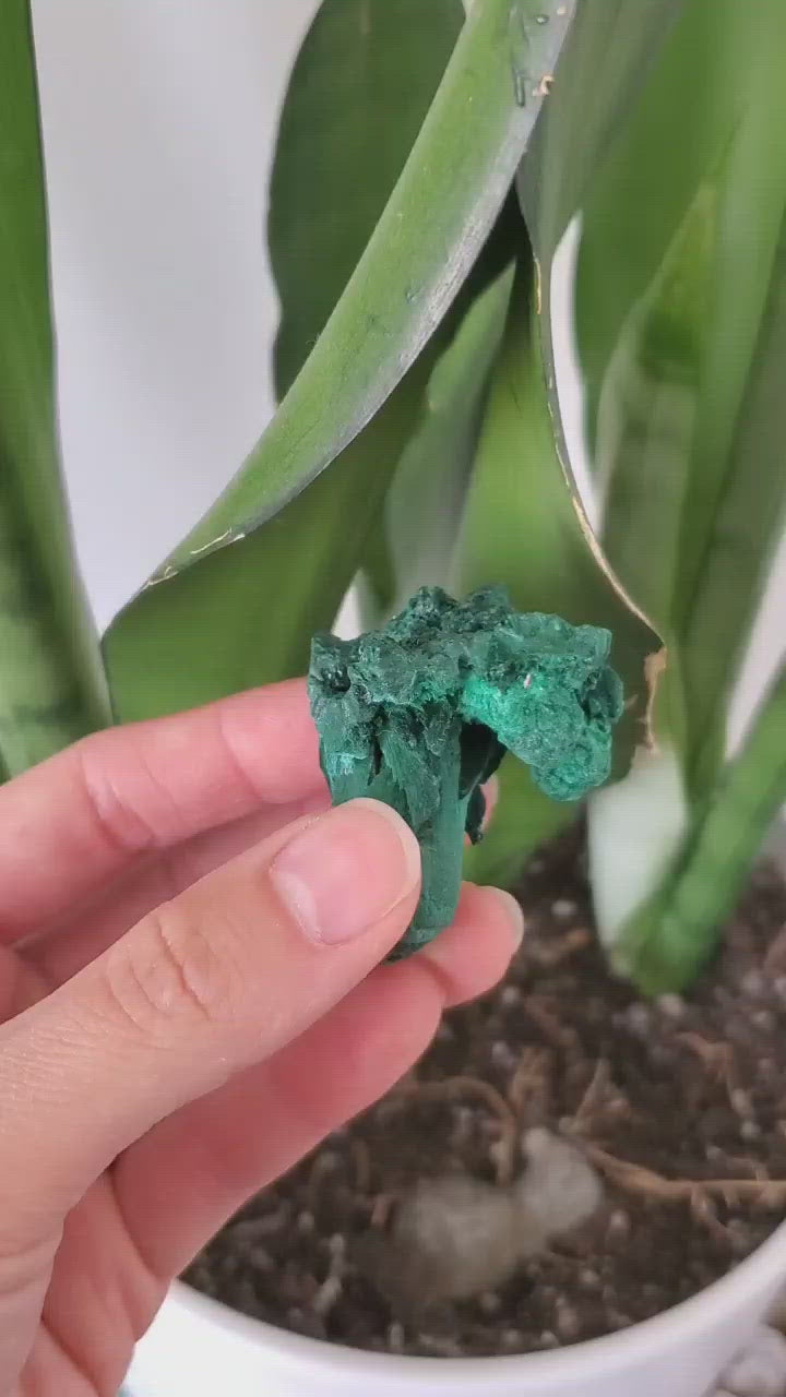 Raw Velvety Malachite Specimen