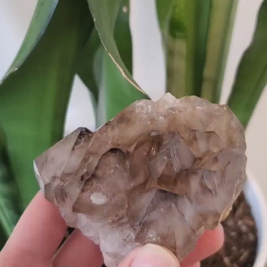 brazil raw elestial alligator jacare quartz
