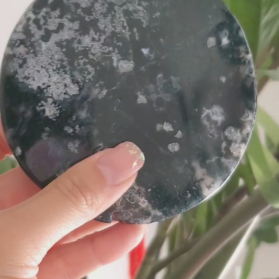 Moss Agate Slab Plate | Snow Heart Crystals