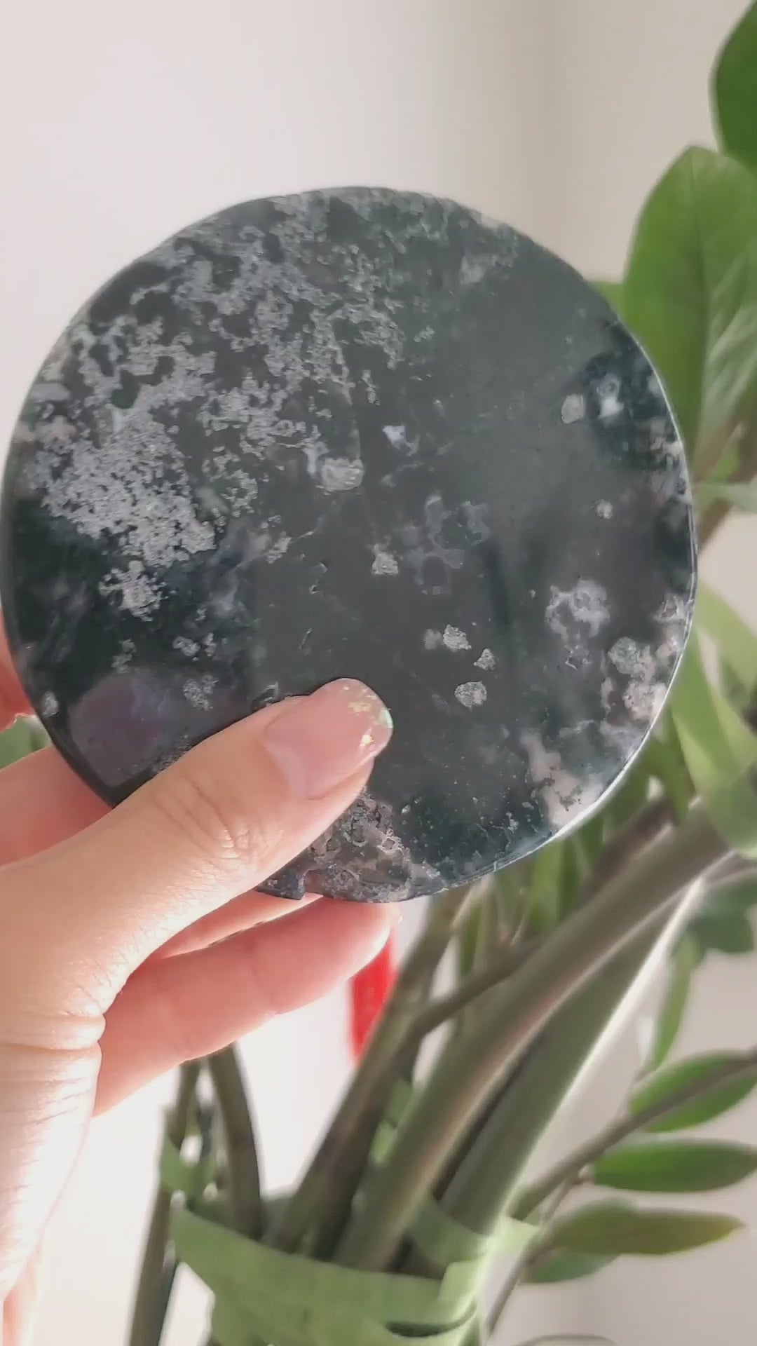 Moss Agate Slab Plate | Snow Heart Crystals