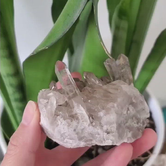 brazil smoky quartz crystal cluster