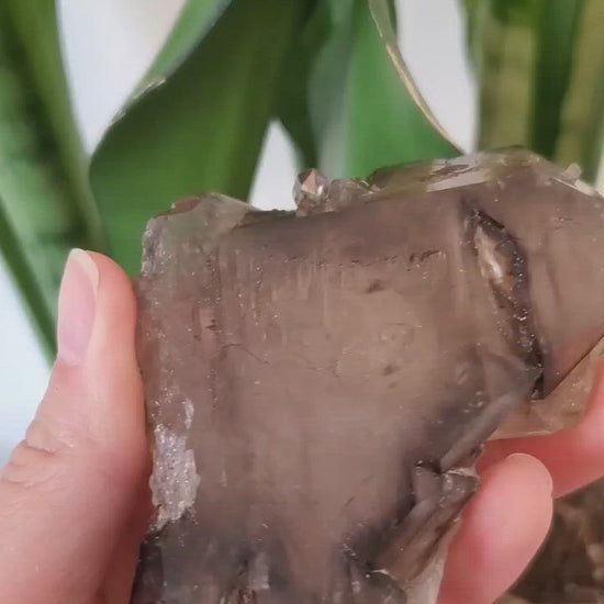 brazil raw elestial alligator jacare quartz