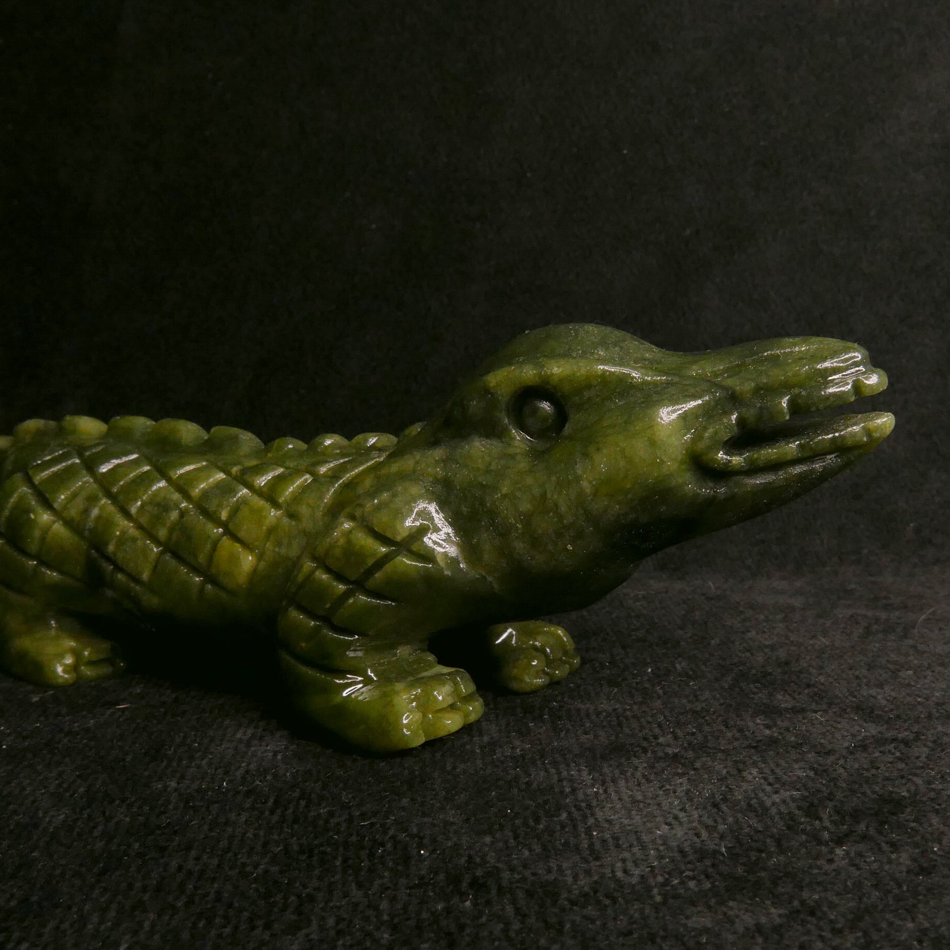 Serpentine Crocodile | Snow Heart Crystals - Online Crystal Shop Canada 