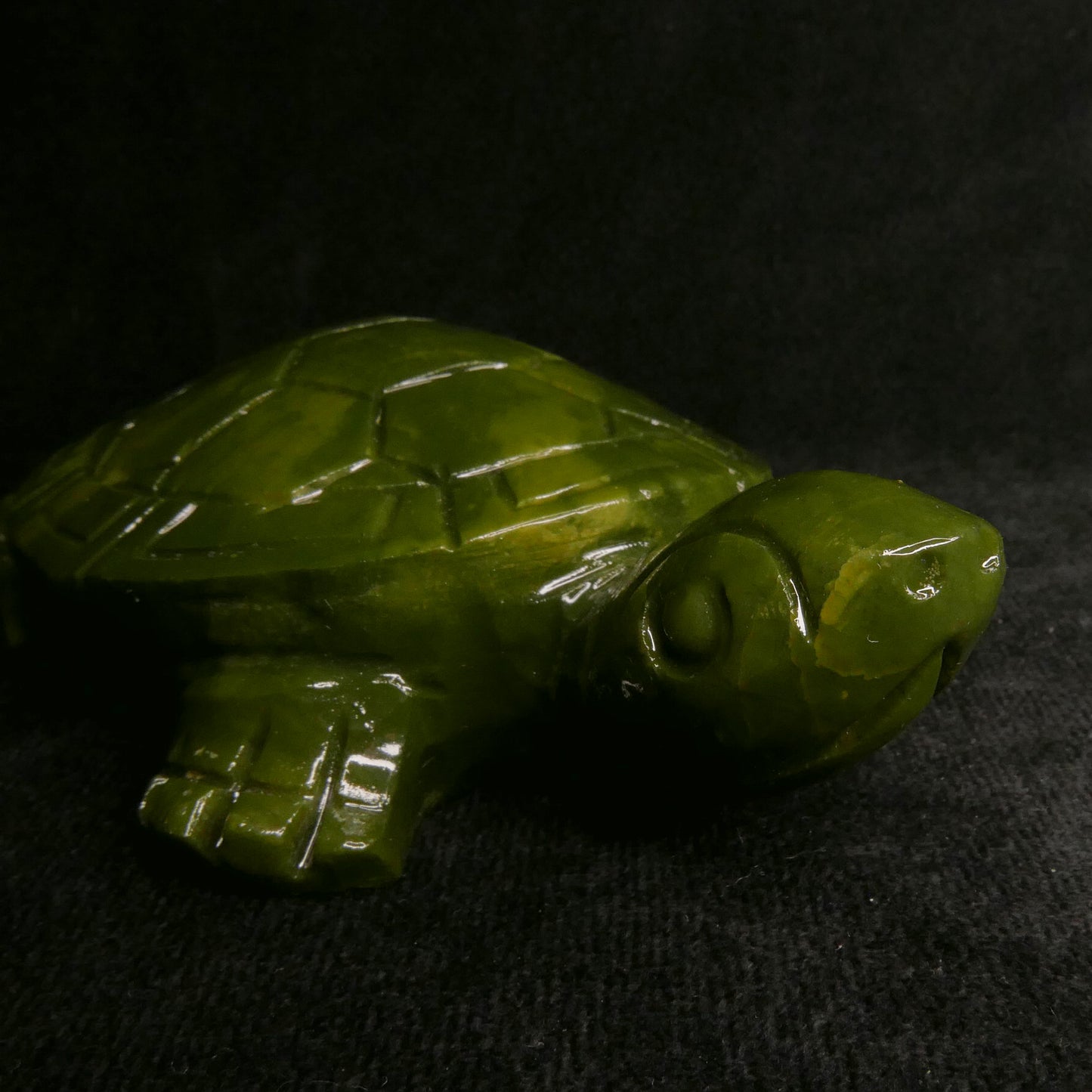 Serpentine Turtle | Snow Heart Crystals - Online Crystal Shop Canada 