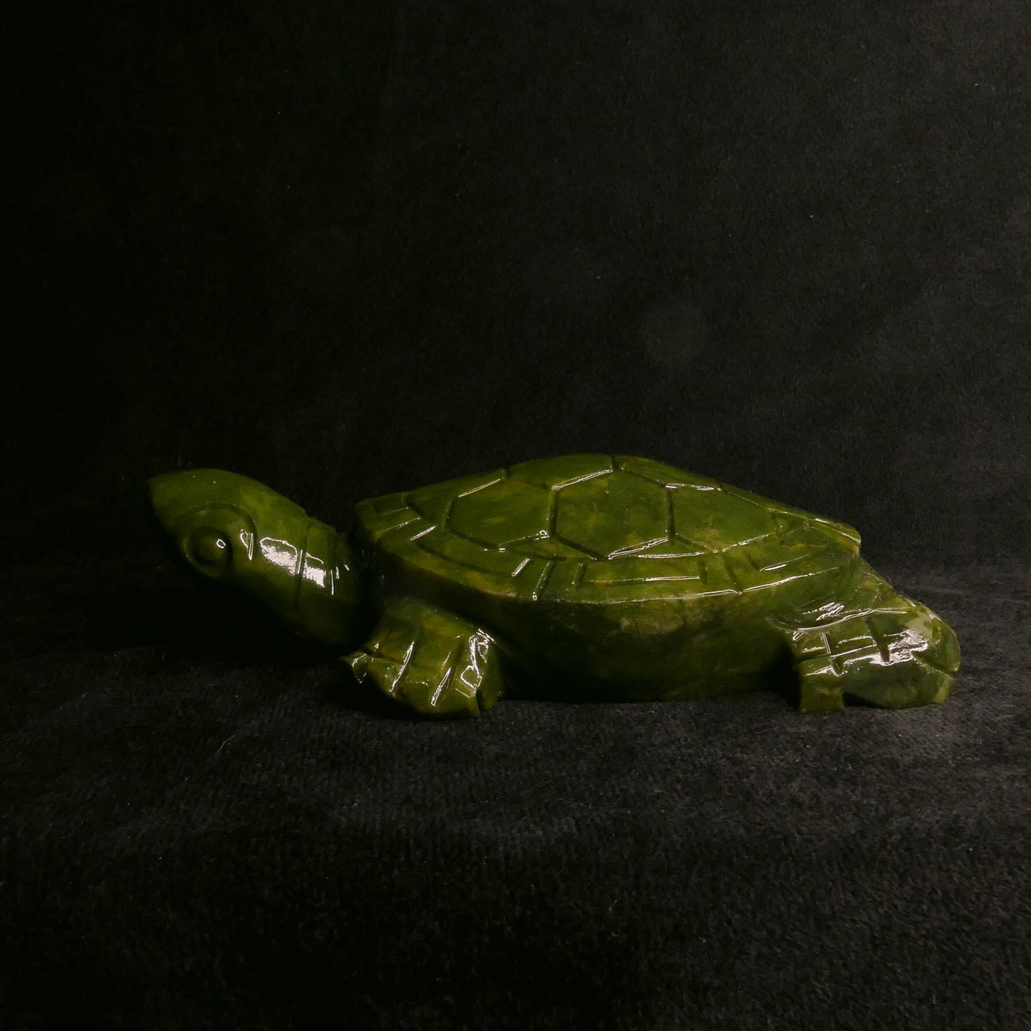 Serpentine Turtle | Snow Heart Crystals - Online Crystal Shop Canada 