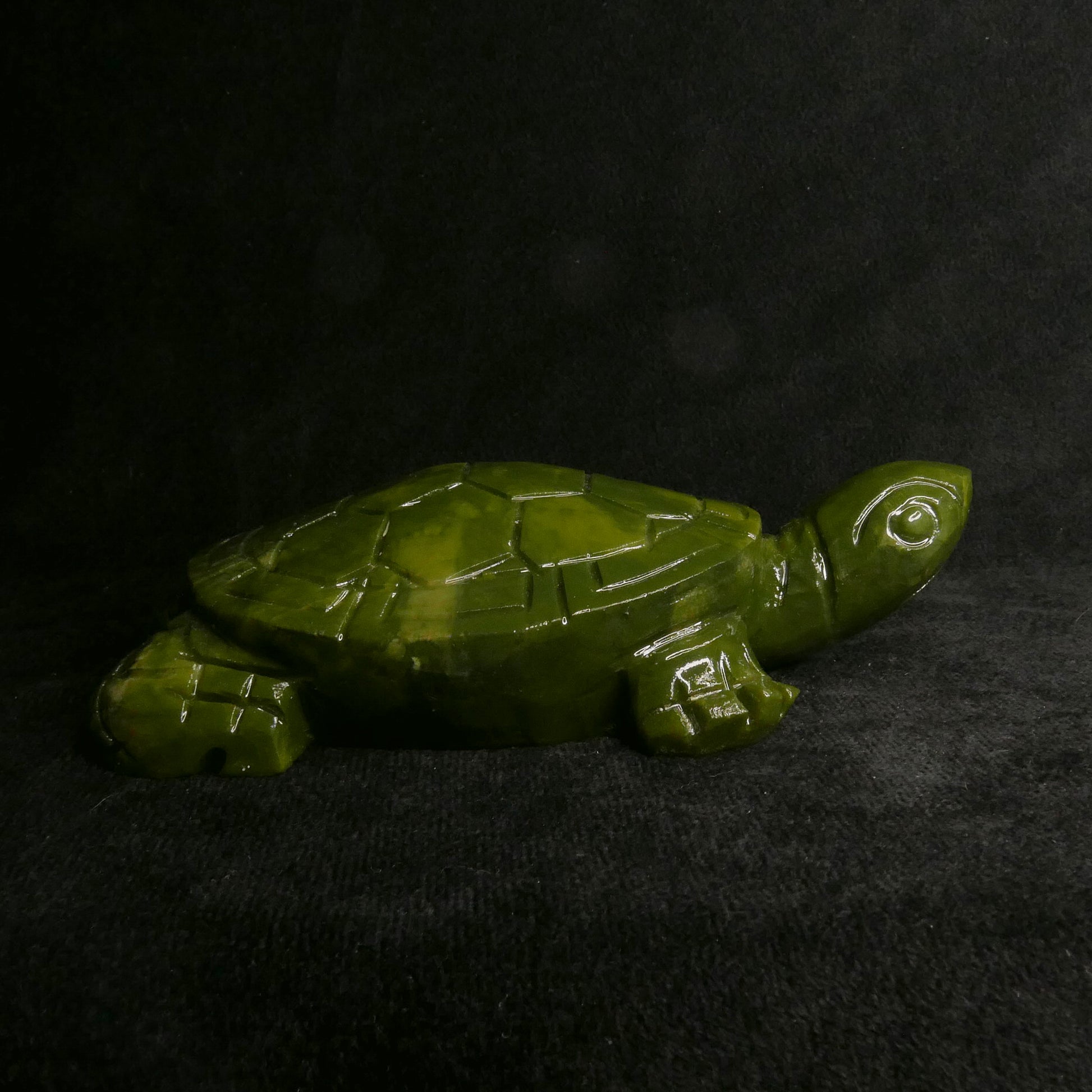 Serpentine Turtle | Snow Heart Crystals - Online Crystal Shop Canada 