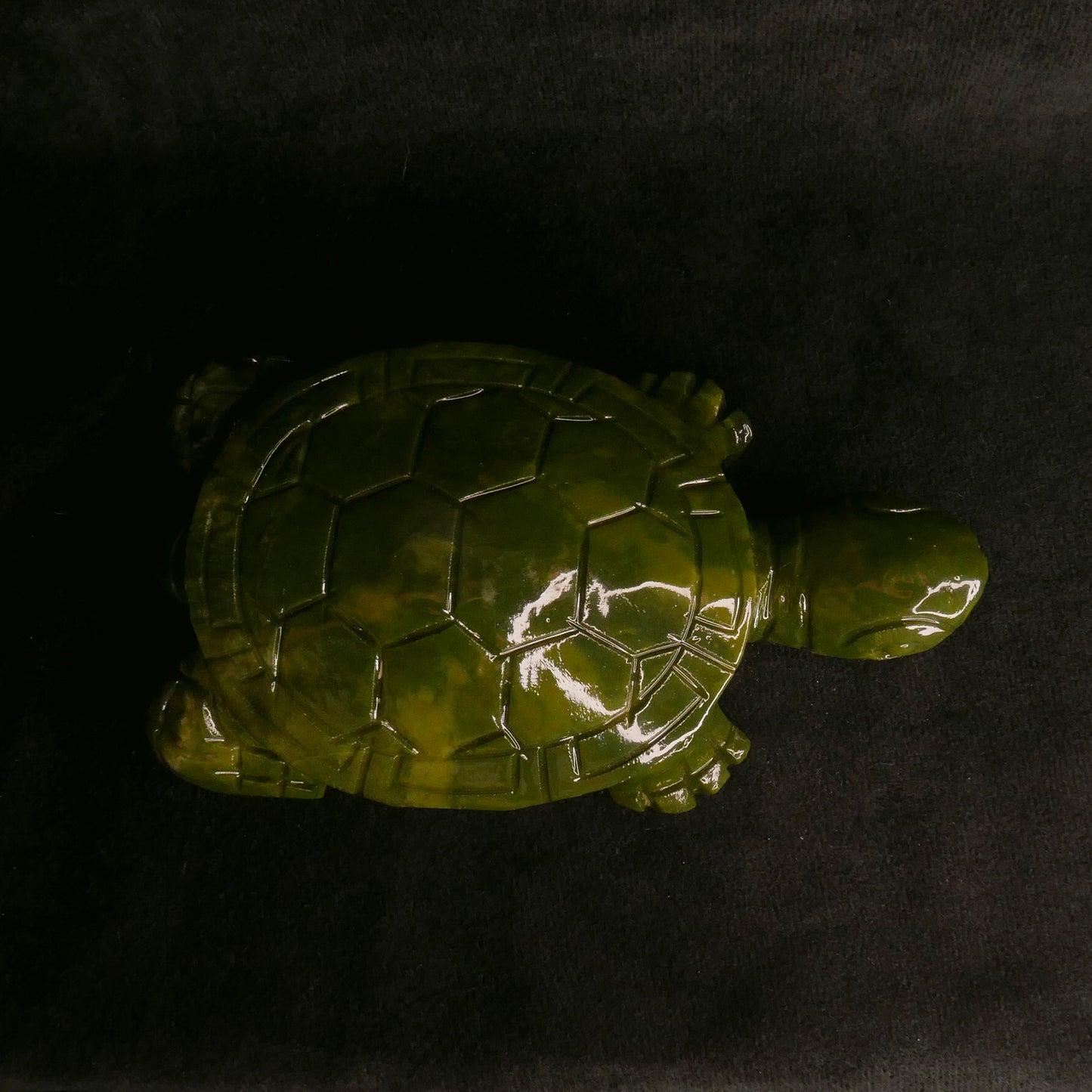 Serpentine Turtle | Snow Heart Crystals - Online Crystal Shop Canada 